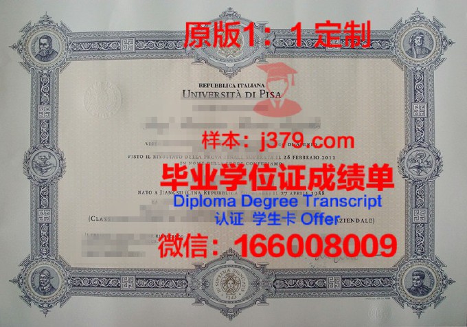 比萨大学毕业证学位文凭学历Diploma
