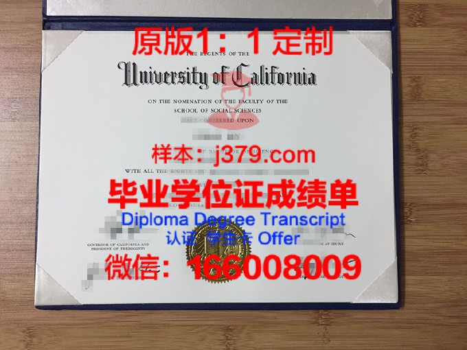 阿米提大学diploma证书(amity阿米提全球商学院)