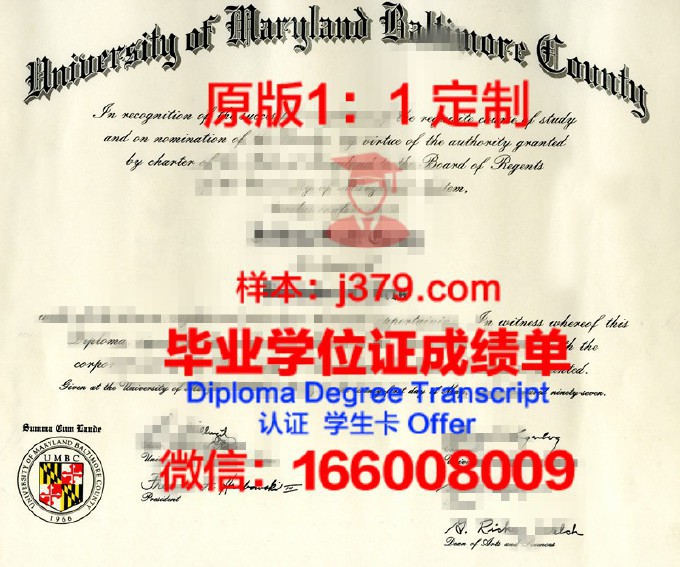 巴尔的摩大学毕业证学位文凭学历Diploma