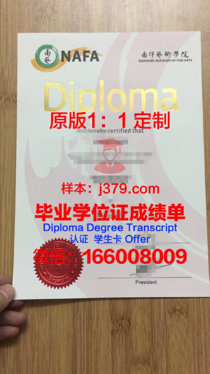 高等数码艺术学院毕业证(上海数码艺术学院撤销)