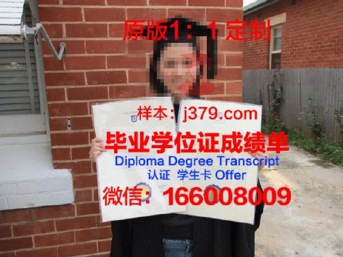 南澳大学毕业证是什么样子(南澳大学本科申请条件)