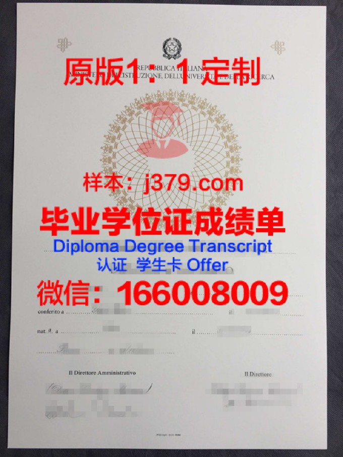 伊塔佩蒂宁加技术学院diploma证书(伊塔佩维)