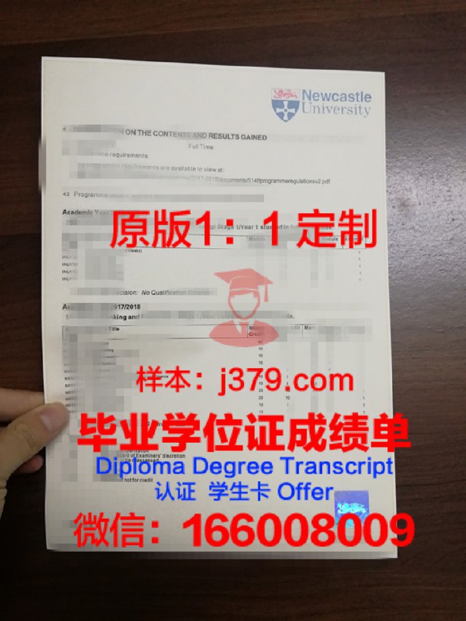 乙支大学成绩单(院校成绩单)