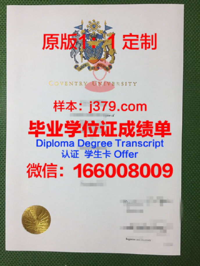 塔尔卡大学录取通知书 OFFER 定制：开启你的中东留学之旅