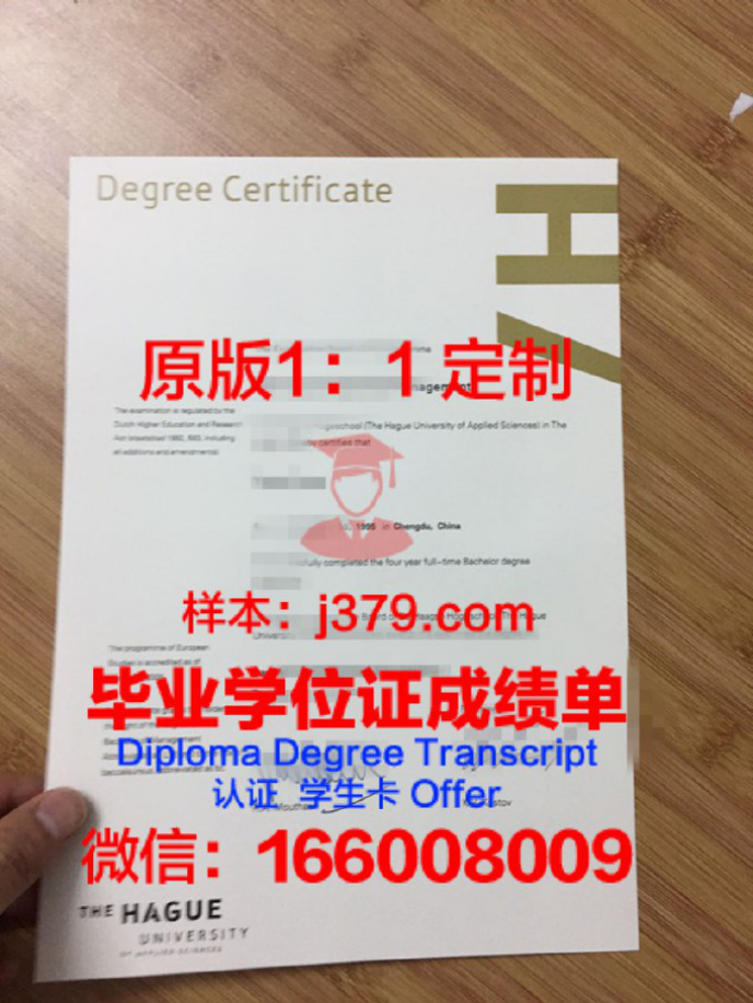 海牙艺术大学本科学位证：开启全球艺术舞台的通行证