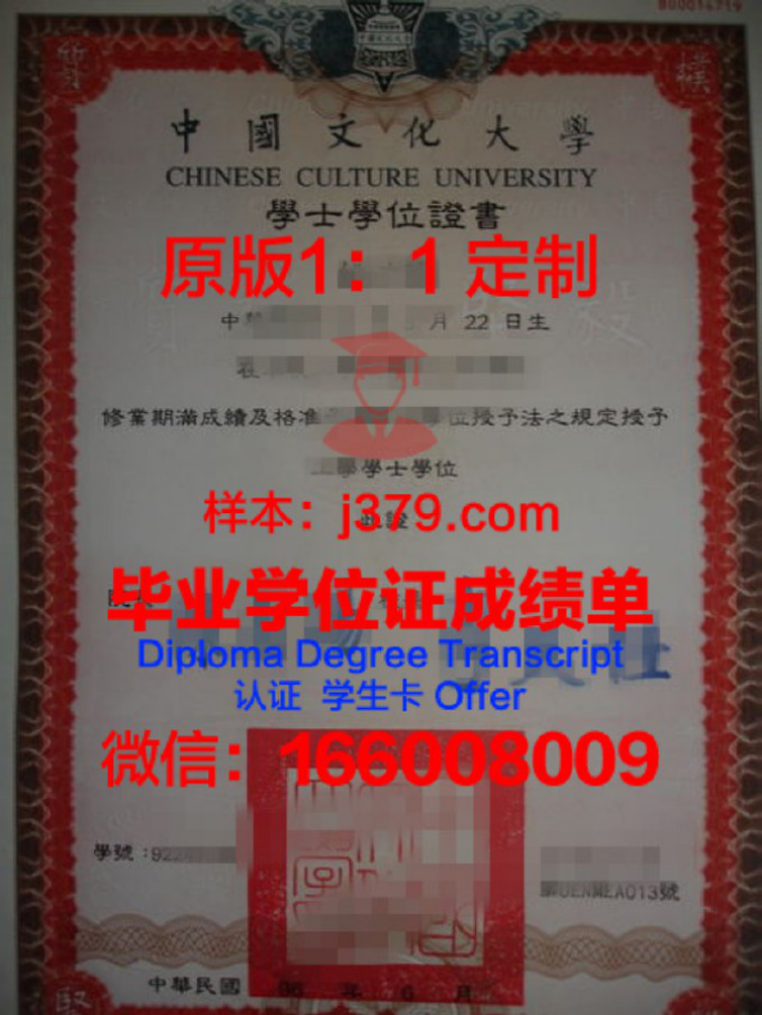 中国石油大学胜利学院学士学位探析