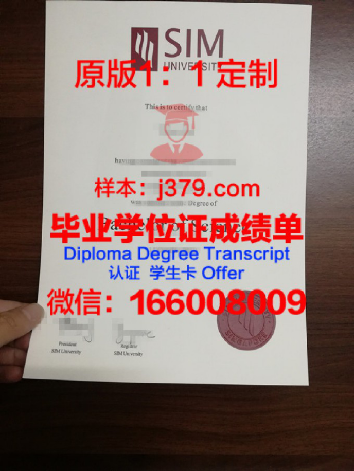 安特卫普大学管理学院录取通知书OFFER定制，量身打造你的未来