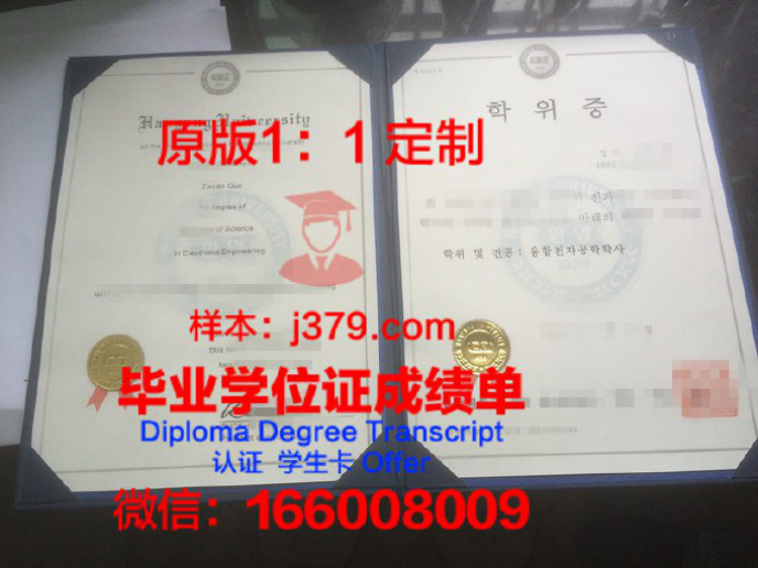 ICFAI大学博士学位证：开启职场新篇章的黄金钥匙