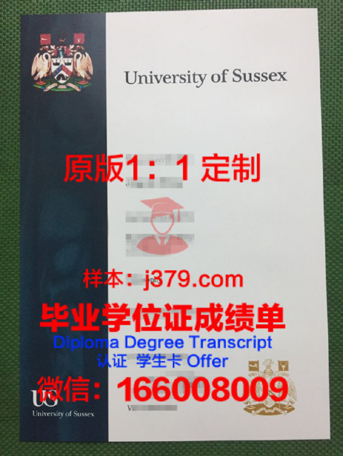 萨塞克斯大学本科学费解析：性价比高的英国公立大学