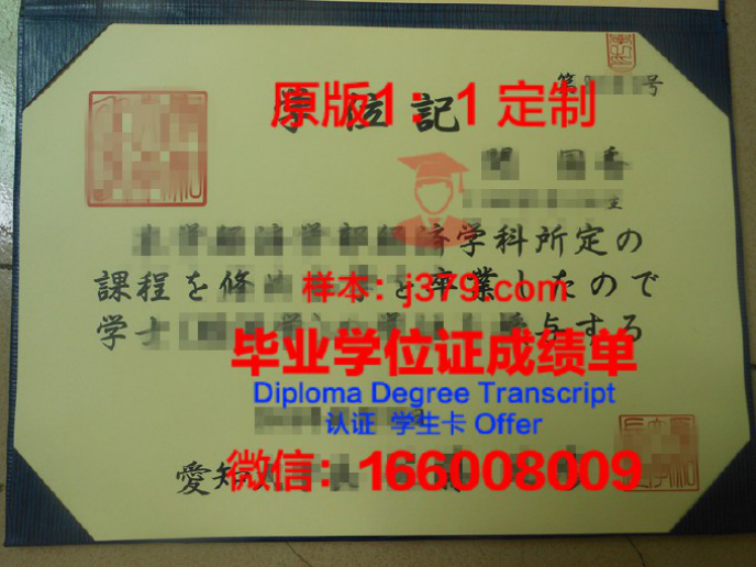 爱知大学学位成绩单定制：专业、严谨、可靠的选择